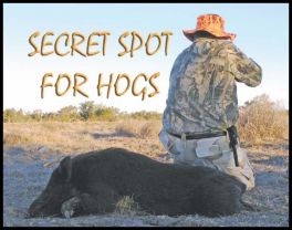 Secret Spot For Hogs (page 90) Issue 86 (click the pic for an enlarged view)